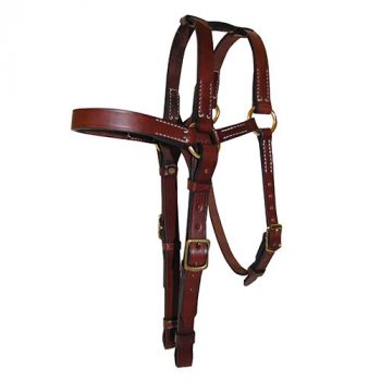 Leather Bridle, Barcoo, Extended Head