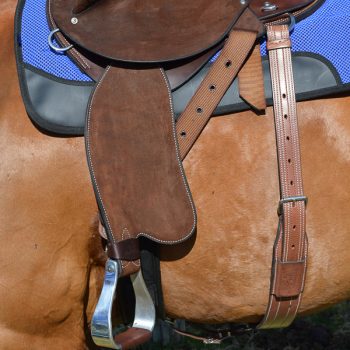 Flank Girth, Solid Leather, Reinforced, on horse