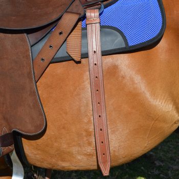Flank Girth Points, Solid Leather, on horse