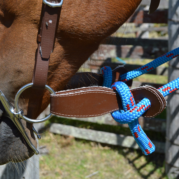 Straps, Slobber, PVC, Curved Style on horse