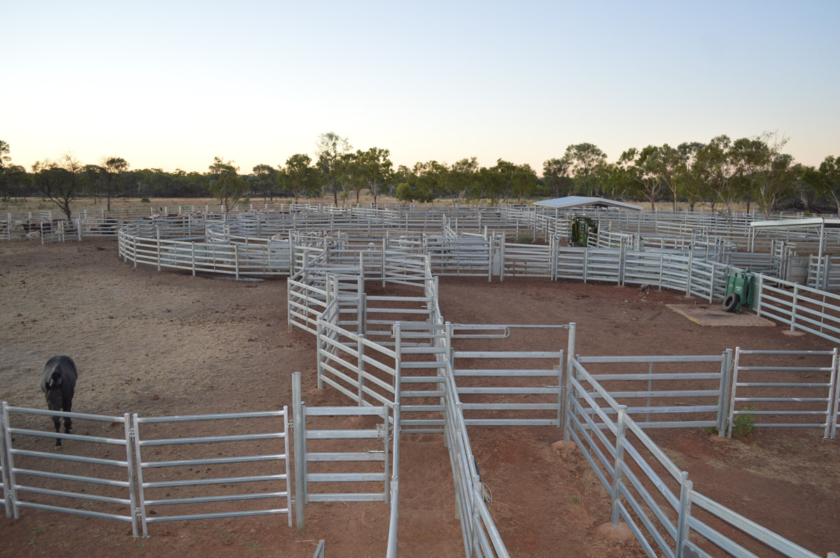 2015 Cattle Station Trip - Week-8 - Kent Saddlery