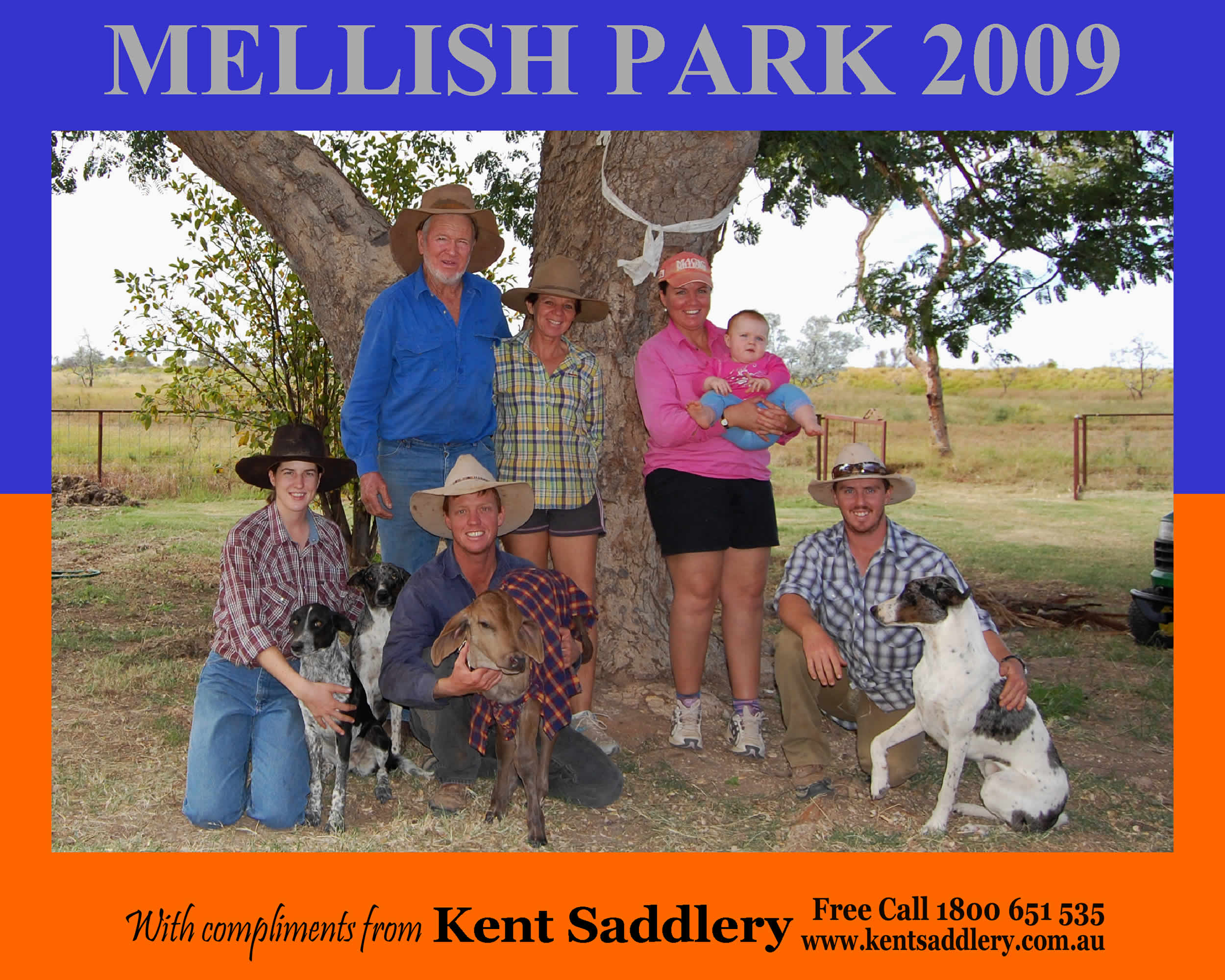 Queensland - Mellish Park 18