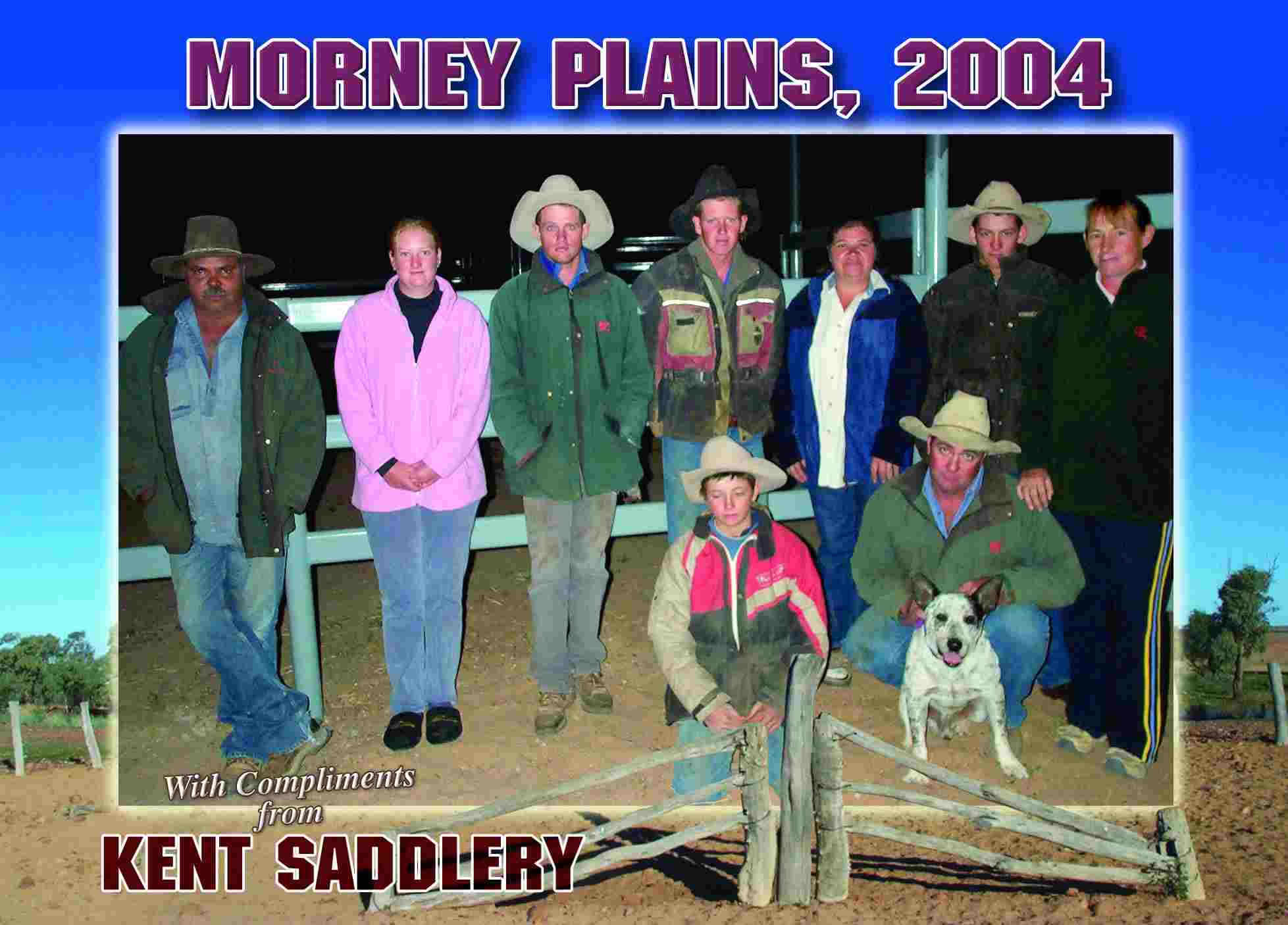 Queensland - Morney Plains 31