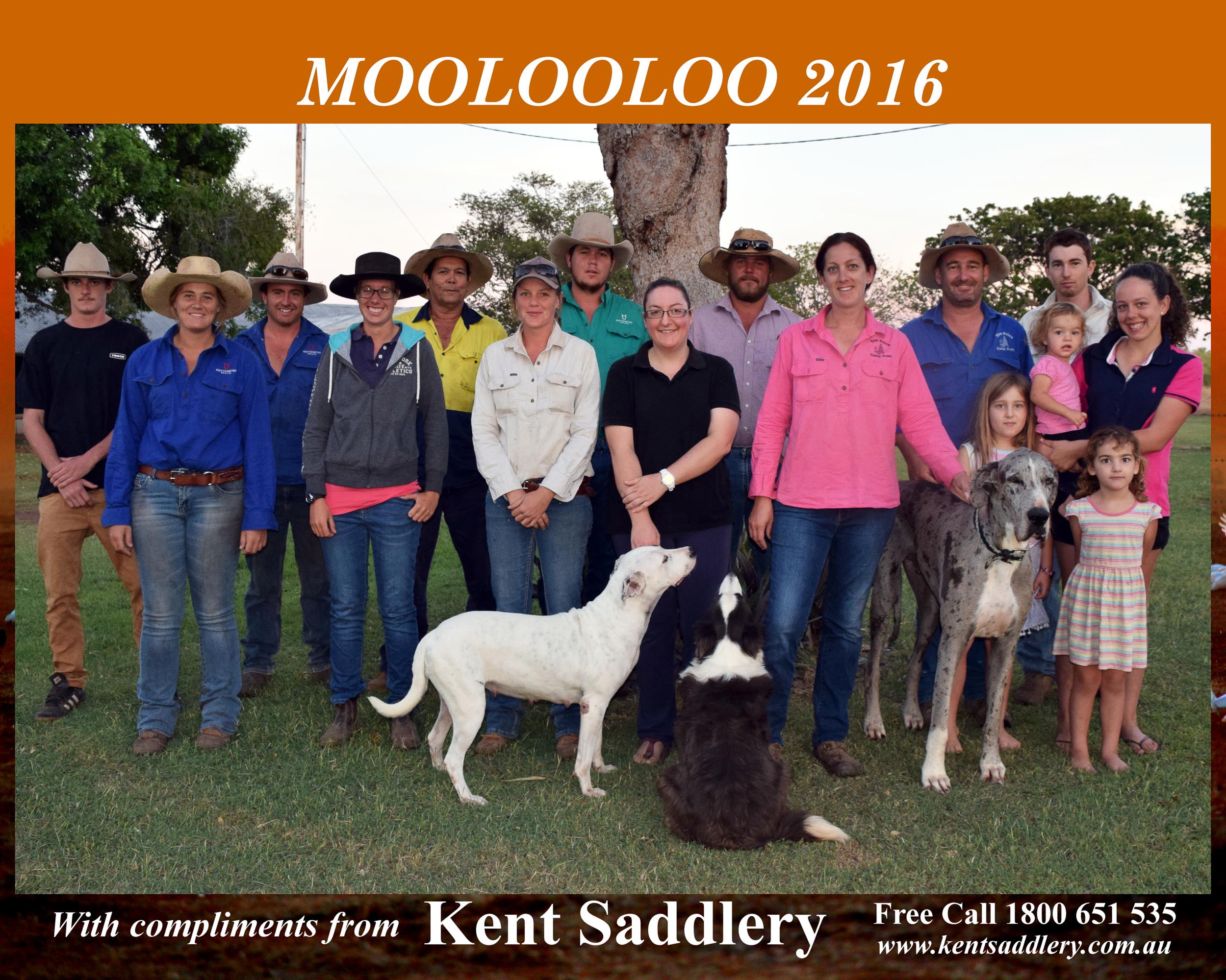 Northern Territory - Moolooloo 17