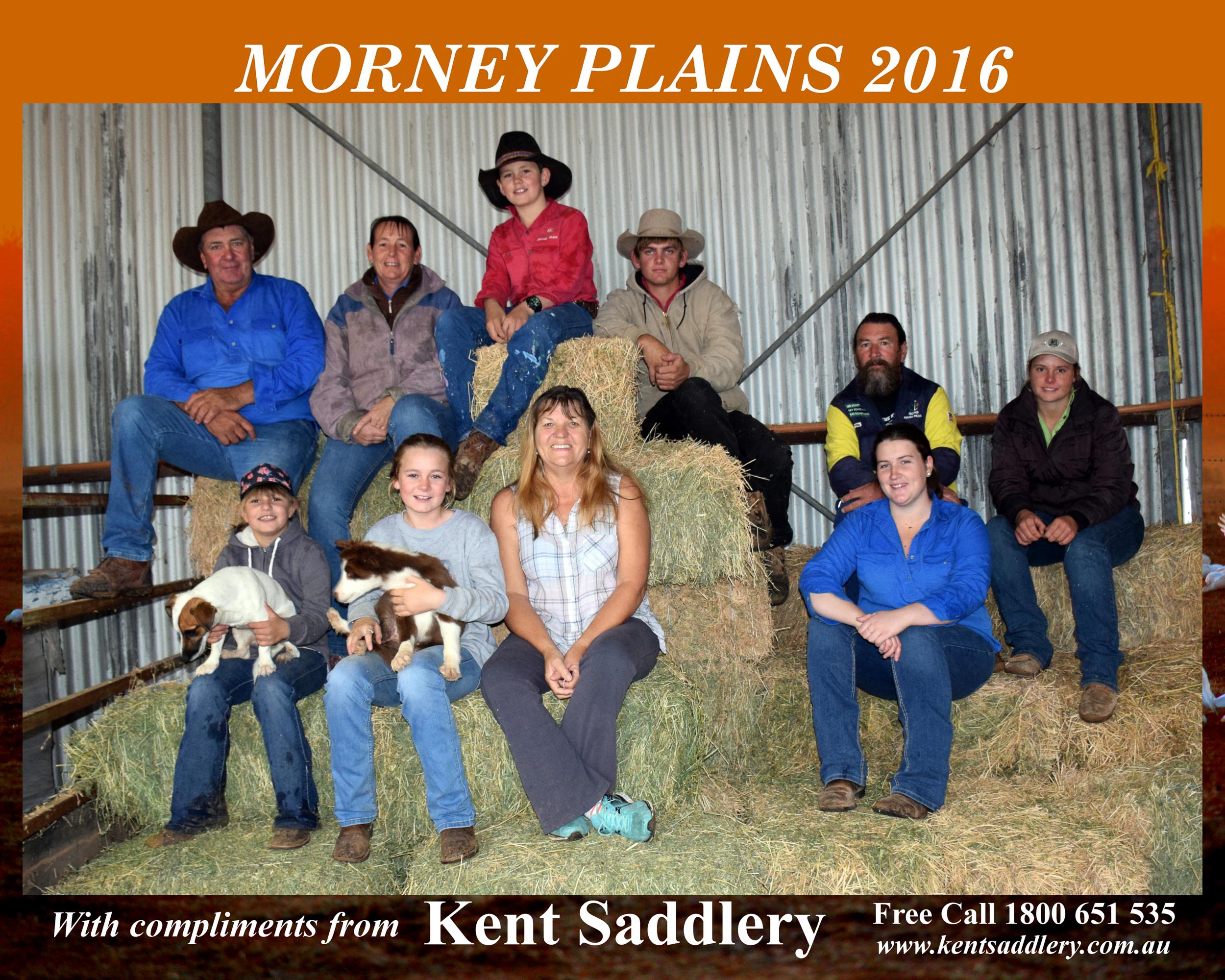 Queensland - Morney Plains 34