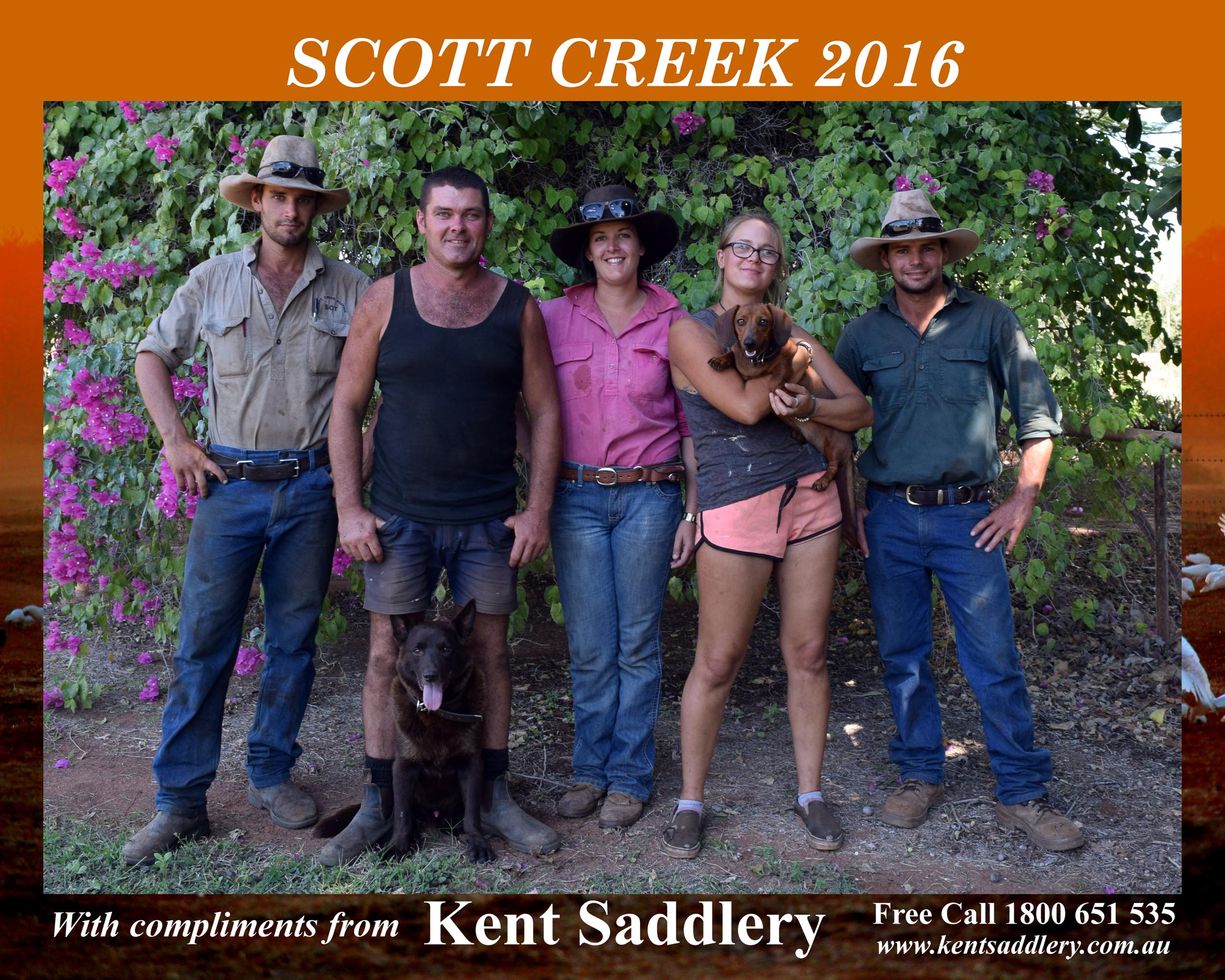 Northern Territory Scott Creek Kent Saddlery
