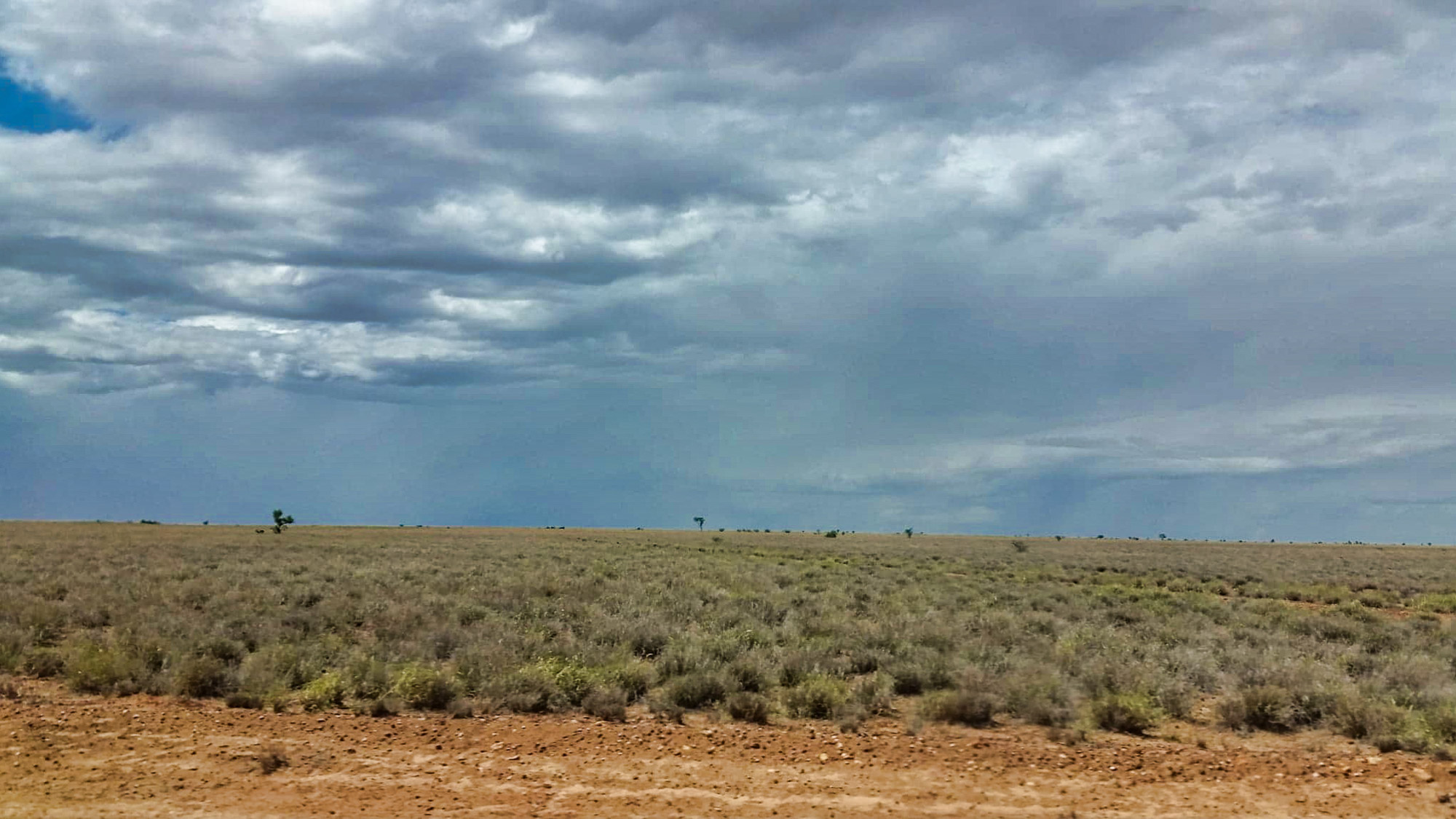 Storms on the horizon - Kent Saddlery