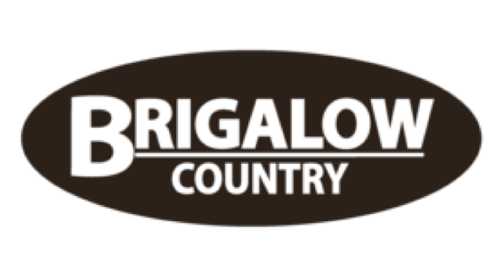 Brigalow
